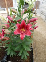 [5711 DJ OR-04 No01.JPG]